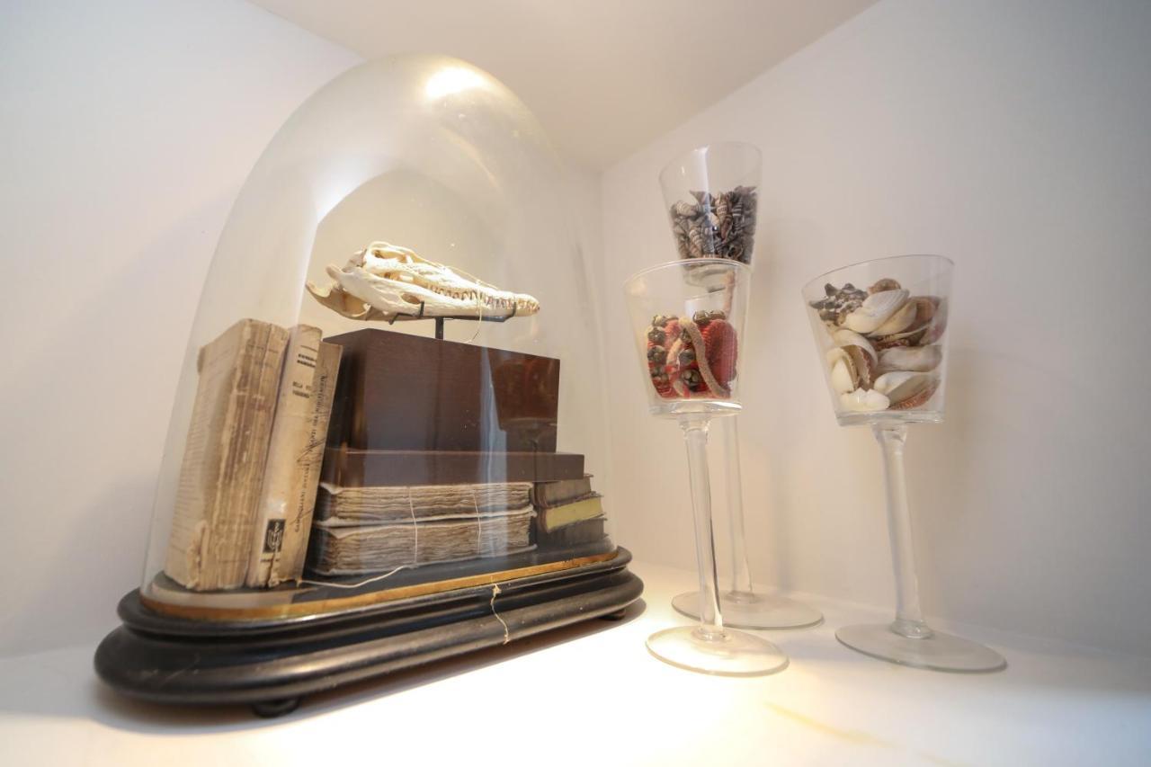 Apartment Pallata 52